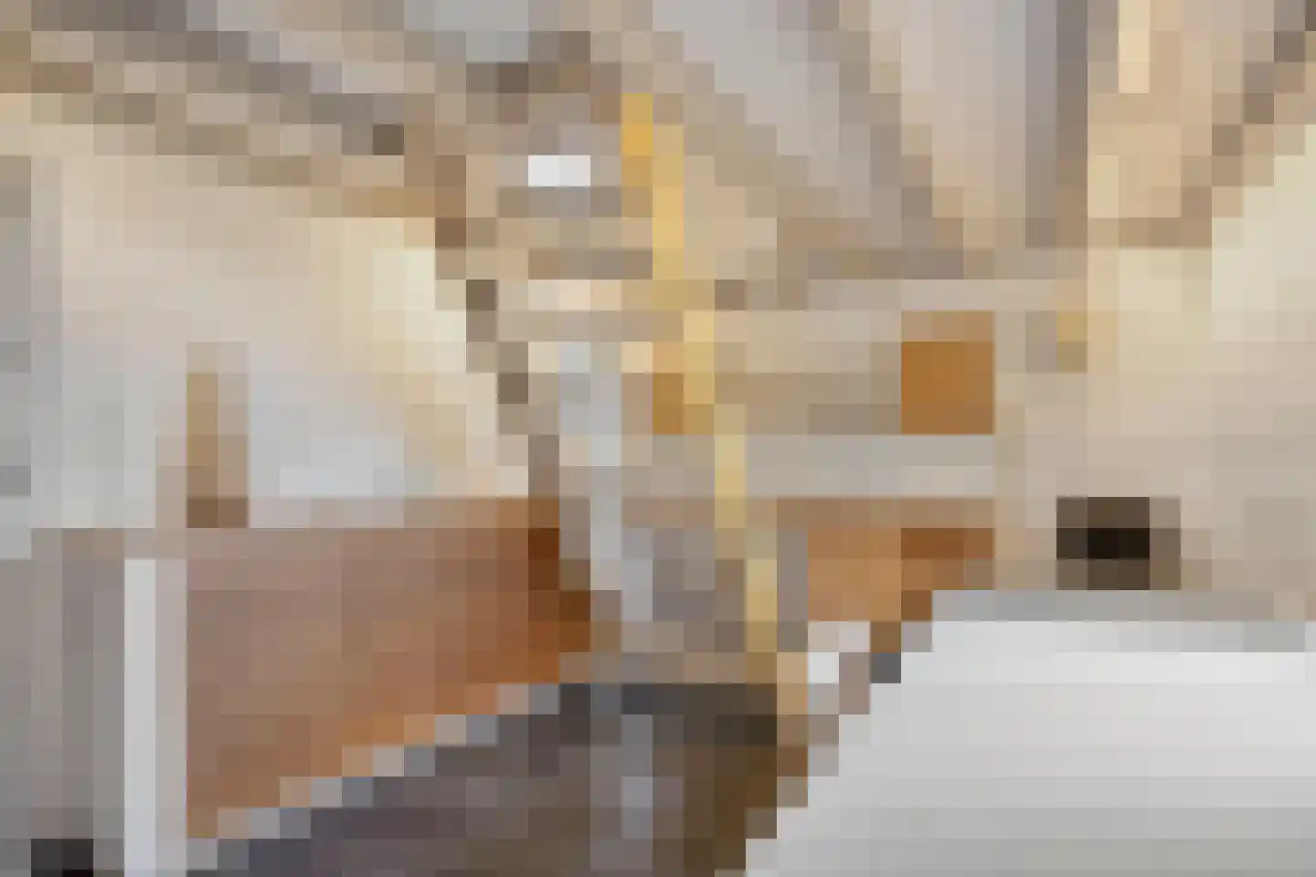 Burgemeester Tonckensstraat 53 Zuidwolde thumbnail 72