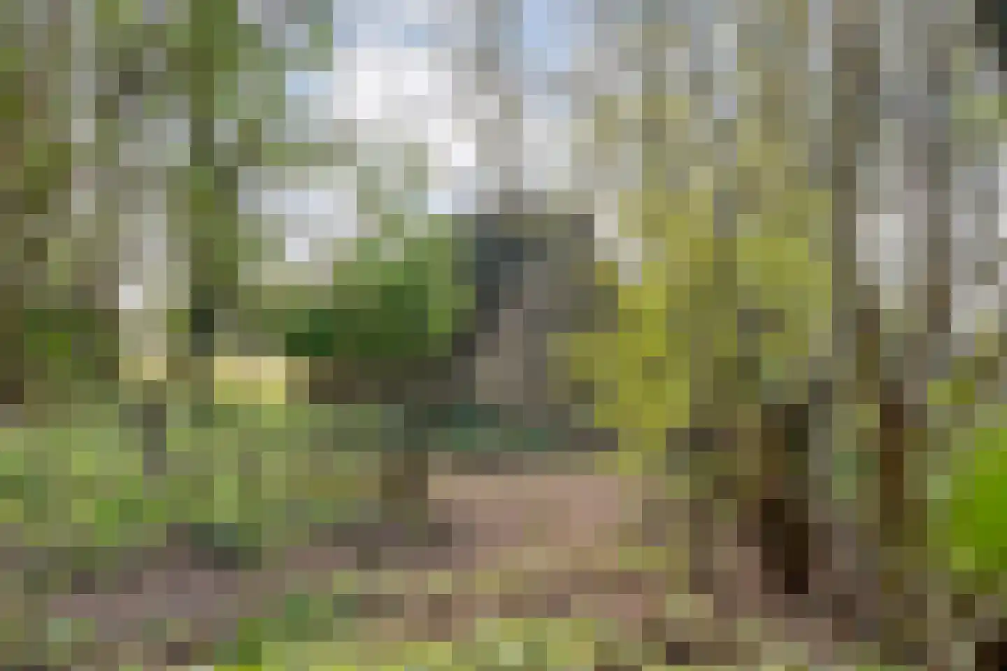 Burgemeester Tonckensstraat 53 Zuidwolde thumbnail 88