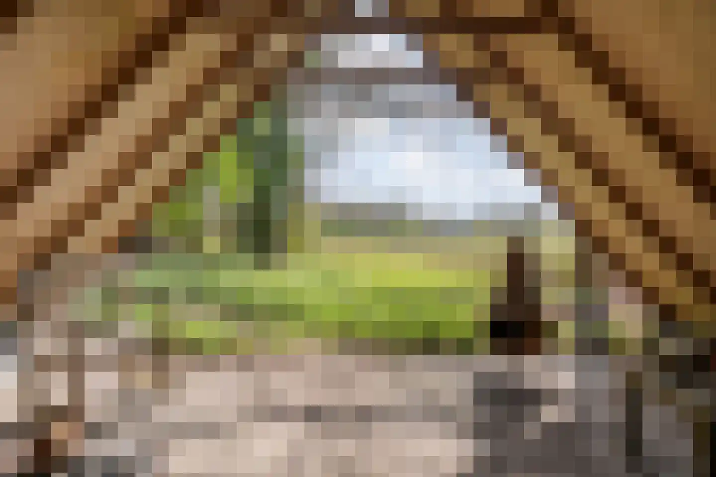 Burgemeester Tonckensstraat 53 Zuidwolde thumbnail 89