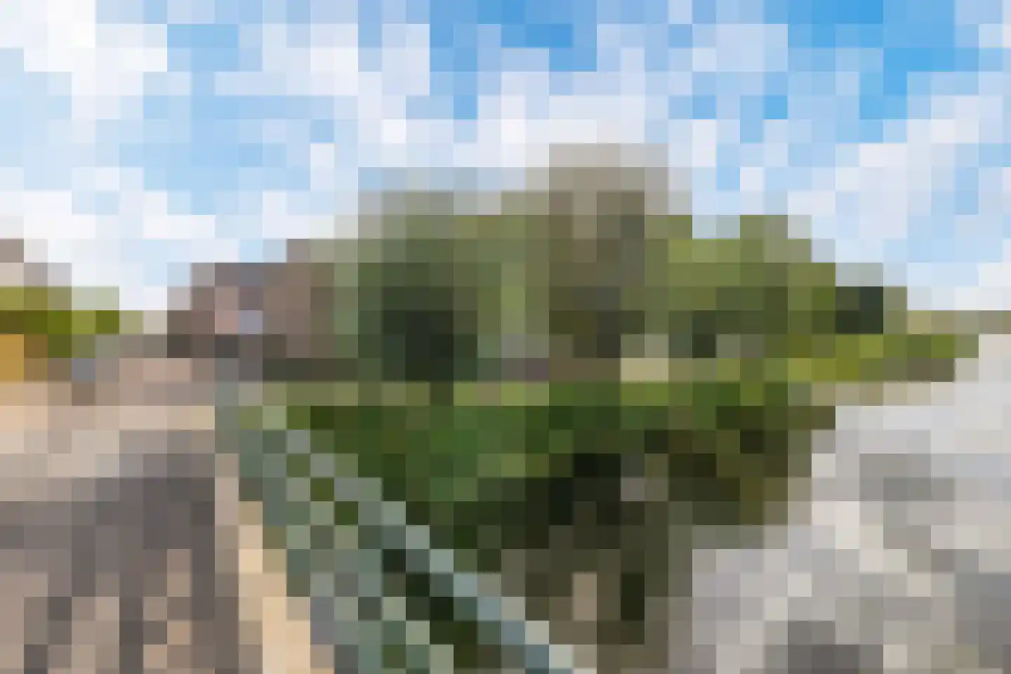 Burgemeester Trooststraat 100 Waddinxveen thumbnail 26