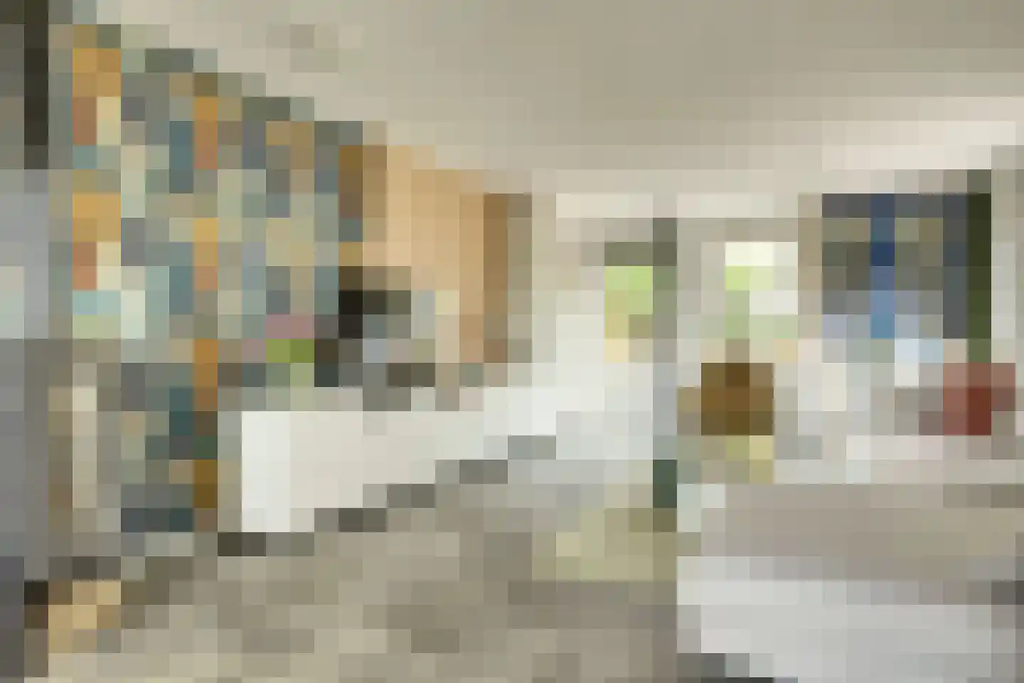 Burgemeester Trooststraat 102 Waddinxveen thumbnail 11