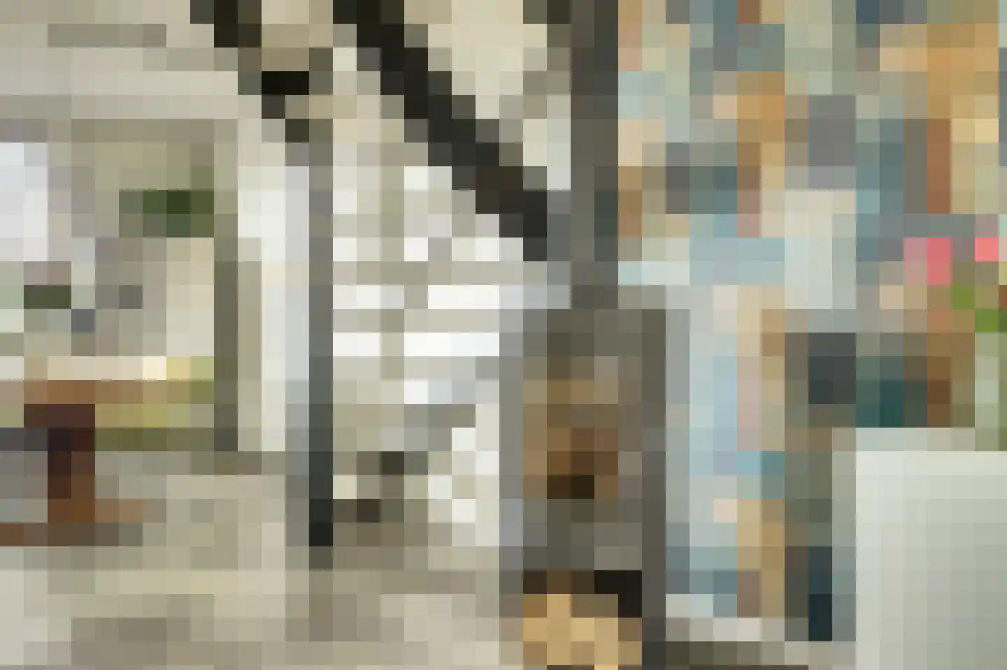 Burgemeester Trooststraat 102 Waddinxveen thumbnail 12
