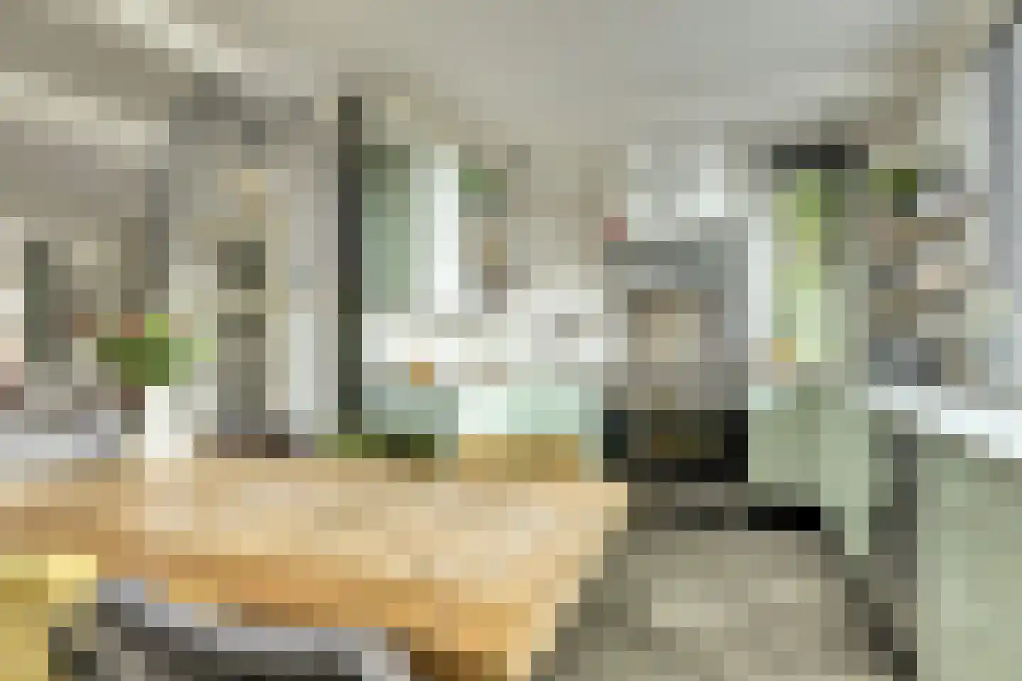Burgemeester Trooststraat 102 Waddinxveen thumbnail 20