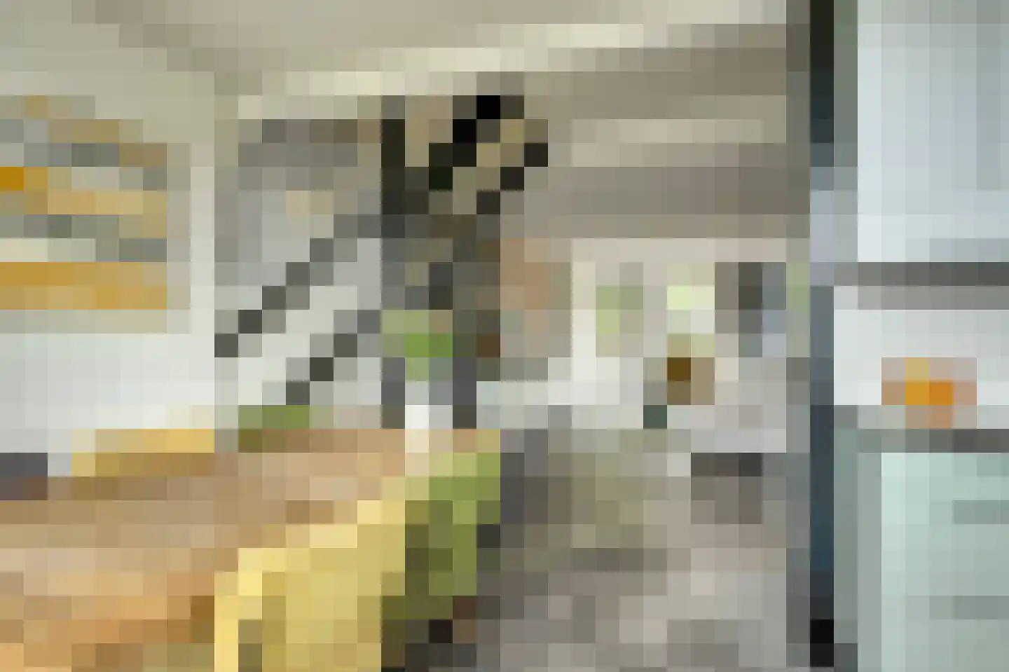 Burgemeester Trooststraat 102 Waddinxveen thumbnail 22