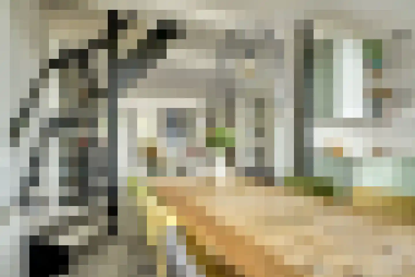 Burgemeester Trooststraat 102 Waddinxveen thumbnail 23