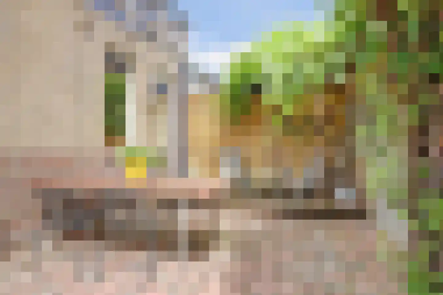 Burgemeester Trooststraat 102 Waddinxveen thumbnail 43