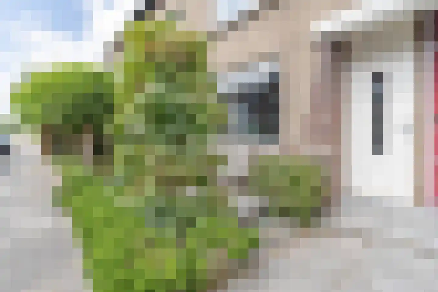 Burgemeester Trooststraat 107 Waddinxveen thumbnail 5