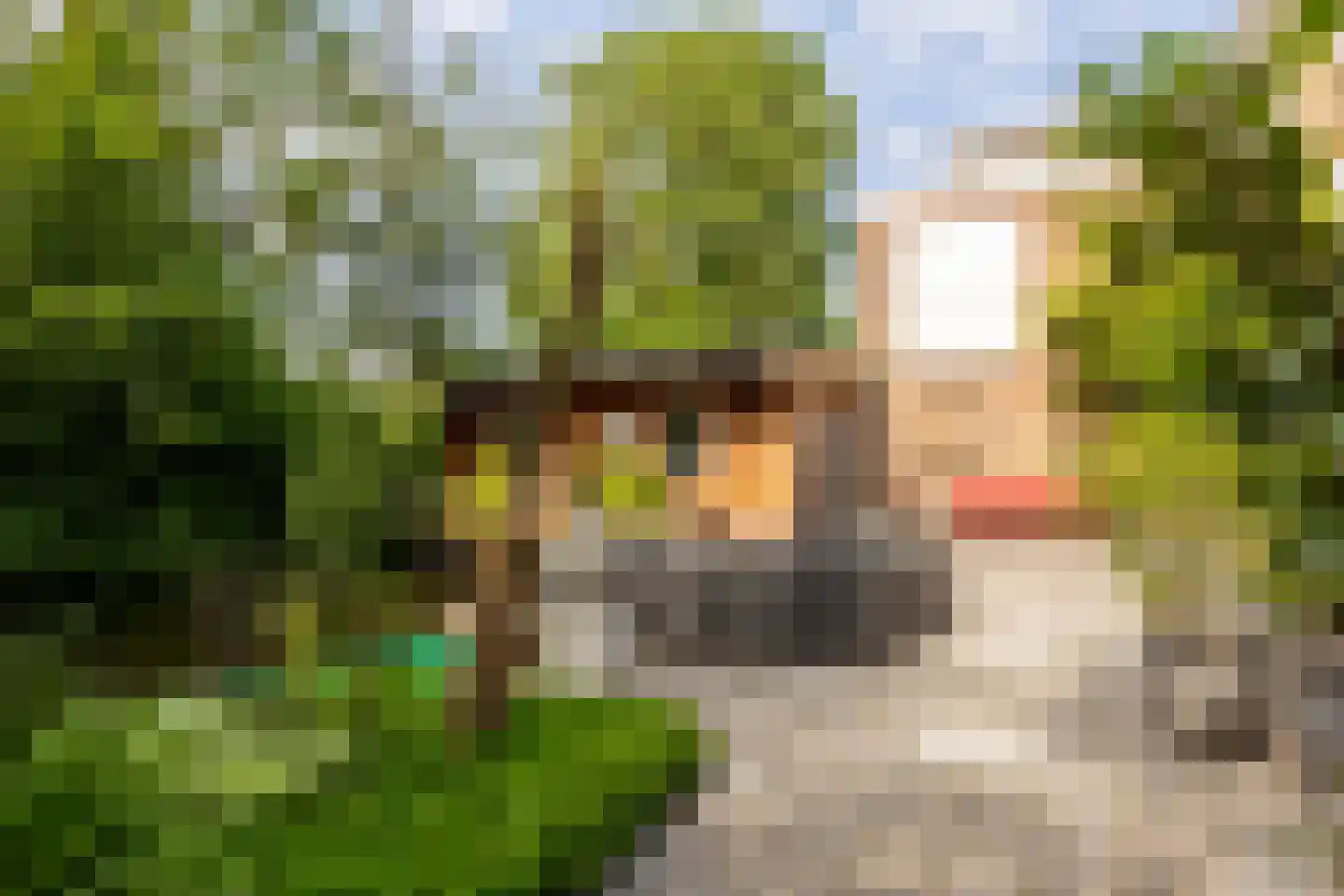 Burgemeester Trooststraat 2 Waddinxveen thumbnail 51