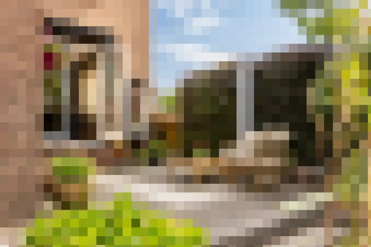 Burgemeester Trooststraat 2 Waddinxveen thumbnail 53