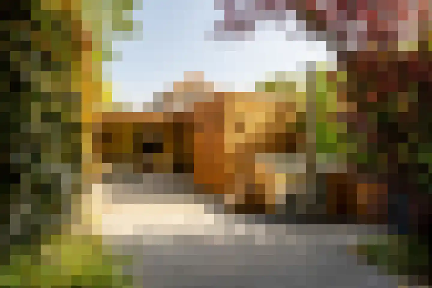 Burgemeester Trooststraat 2 Waddinxveen thumbnail 56