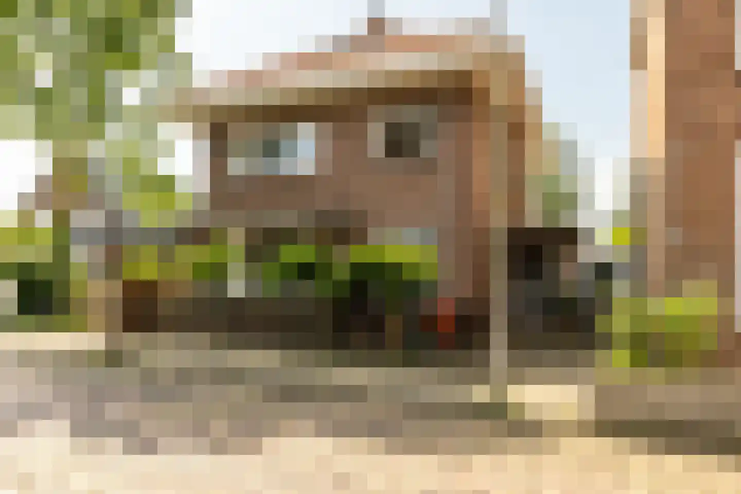 Burgemeester Trooststraat 2 Waddinxveen thumbnail 70