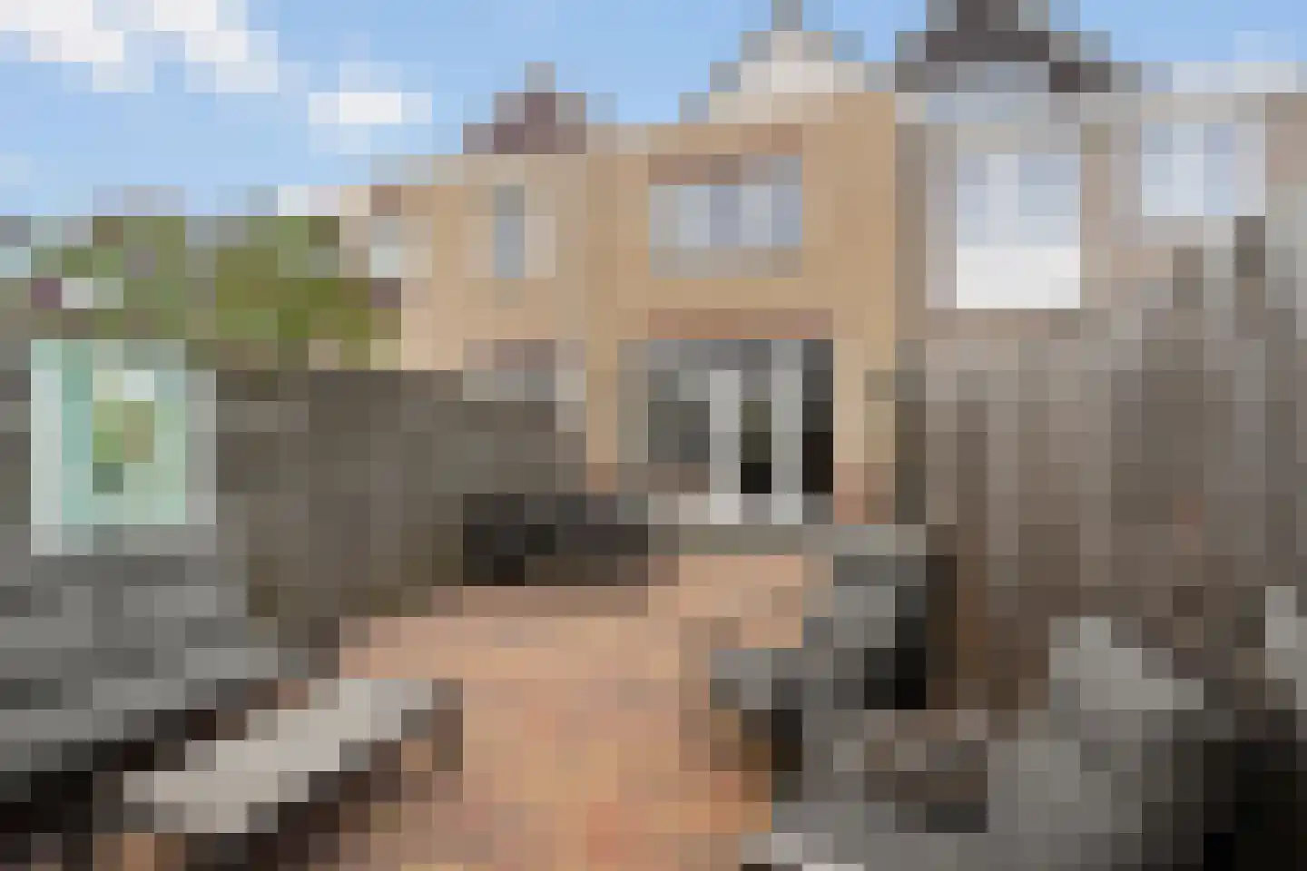 Burgemeester Trooststraat 67 Waddinxveen thumbnail 17