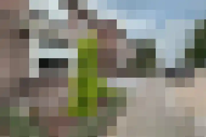 Burgemeester Trooststraat 7 Waddinxveen thumbnail 4