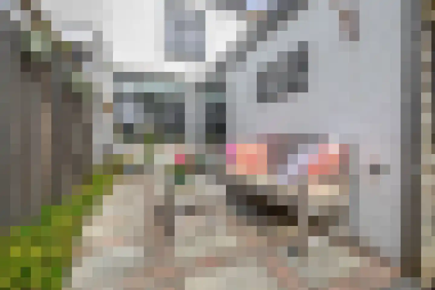 Burgemeester Trooststraat 80 Waddinxveen thumbnail 24