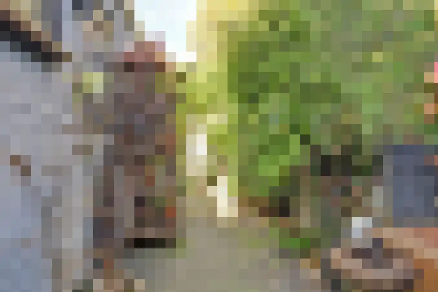 Burgemeester Trooststraat 85 Waddinxveen thumbnail 33