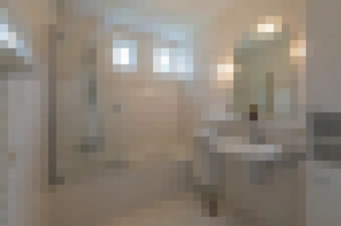 Burgemeester Uijenstraat 3 Waalre thumbnail 16