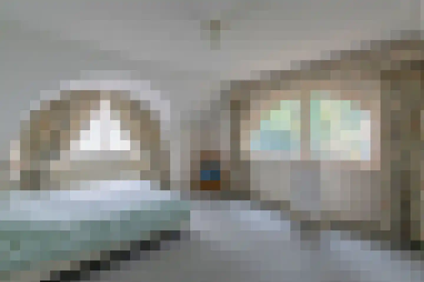Burgemeester Uijenstraat 3 Waalre thumbnail 20
