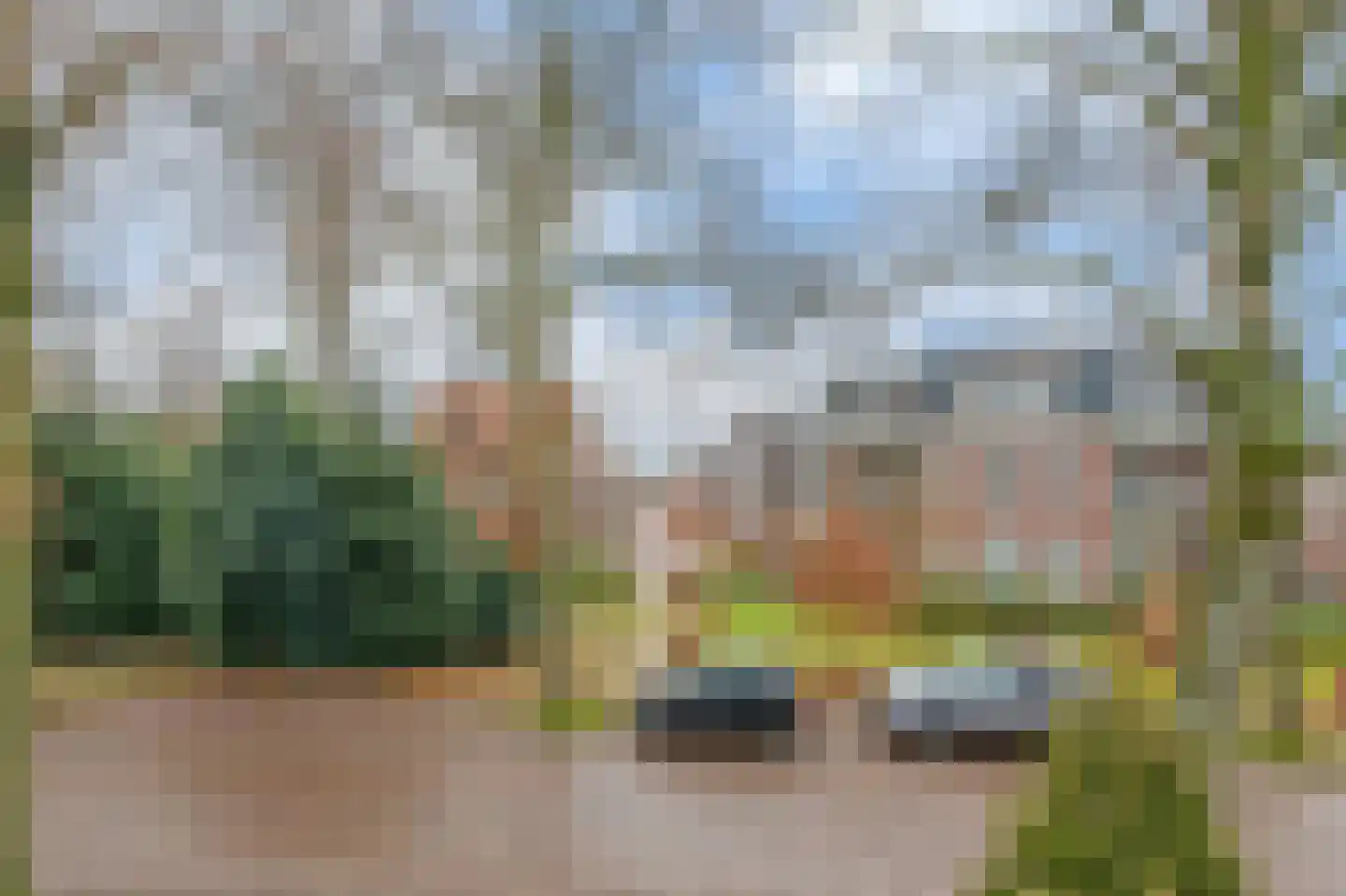 Burgemeester Uijenstraat 3 Waalre thumbnail 34