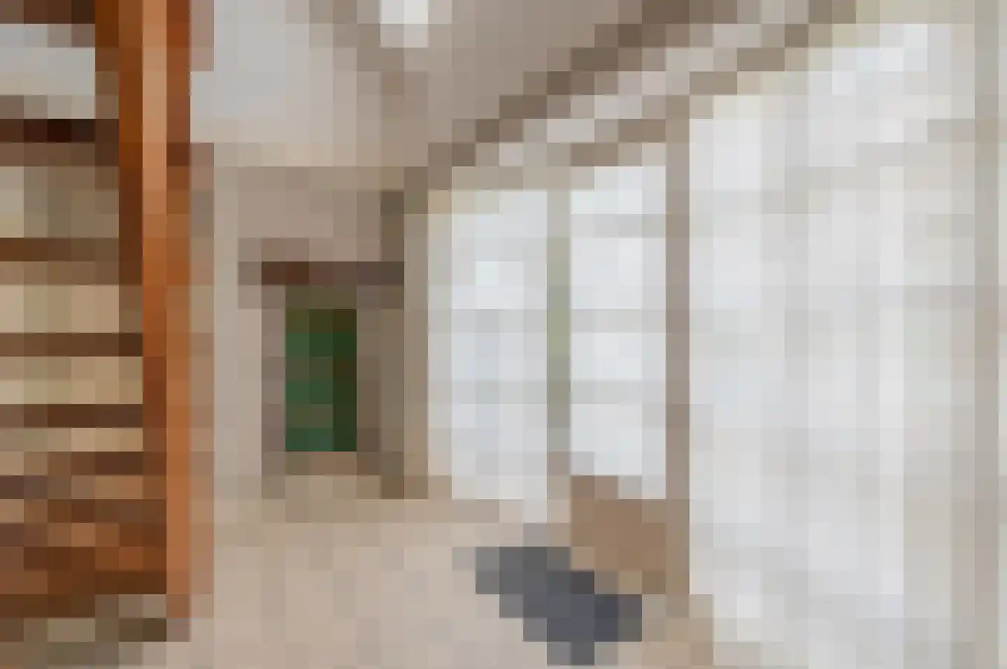Burgemeester Uijenstraat 3 Waalre thumbnail 4