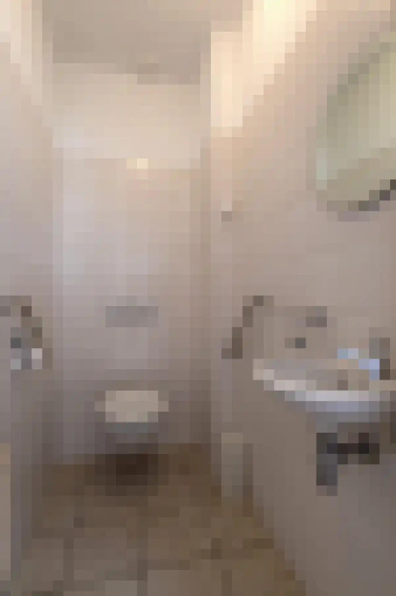 Burgemeester Uijenstraat 3 Waalre thumbnail 5