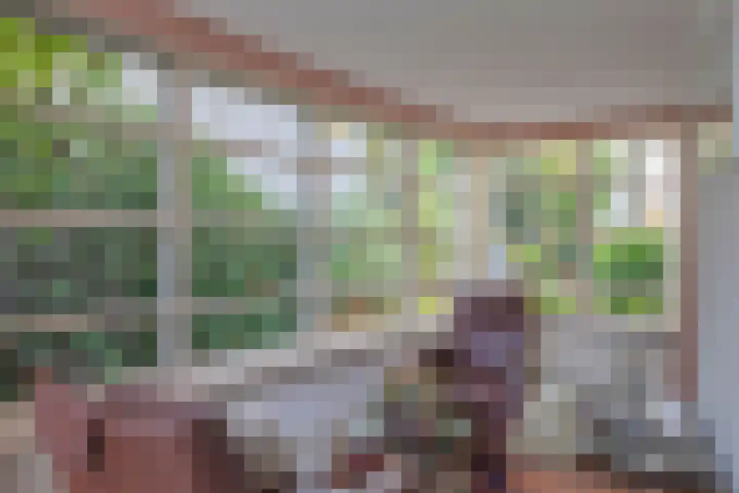 Burgemeester Uijenstraat 3 Waalre thumbnail 8