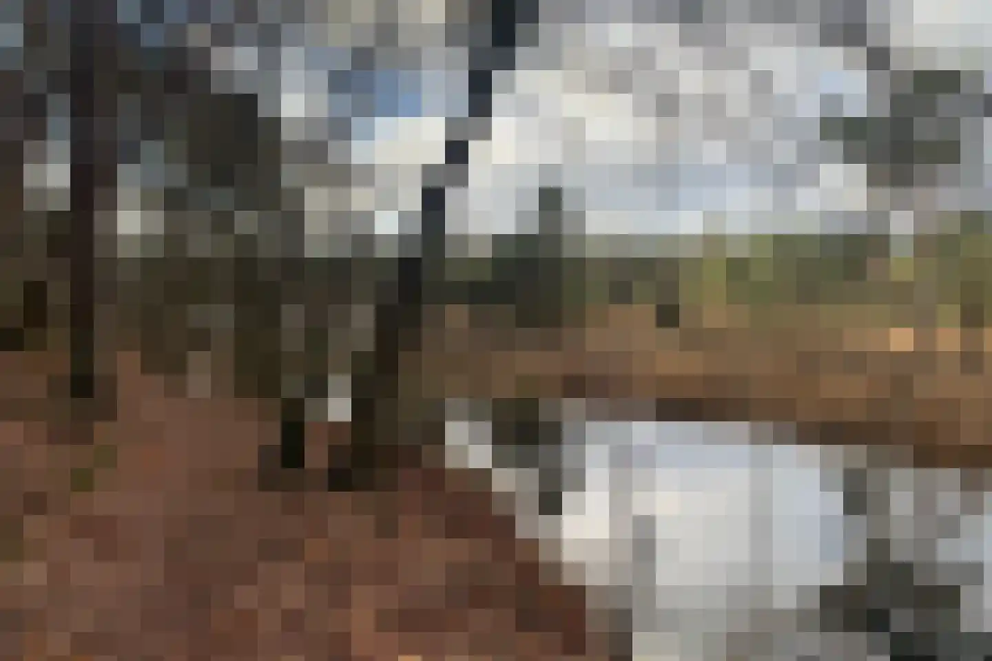 Burgemeester Uijenstraat 33 Waalre thumbnail 38
