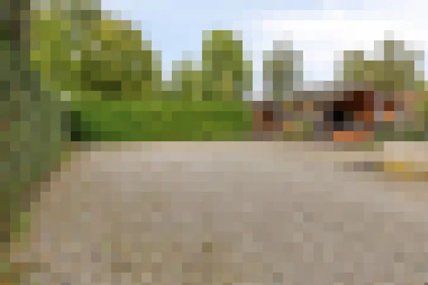Burgemeester v.d. Wildenberglaan 11 De Rips thumbnail 12