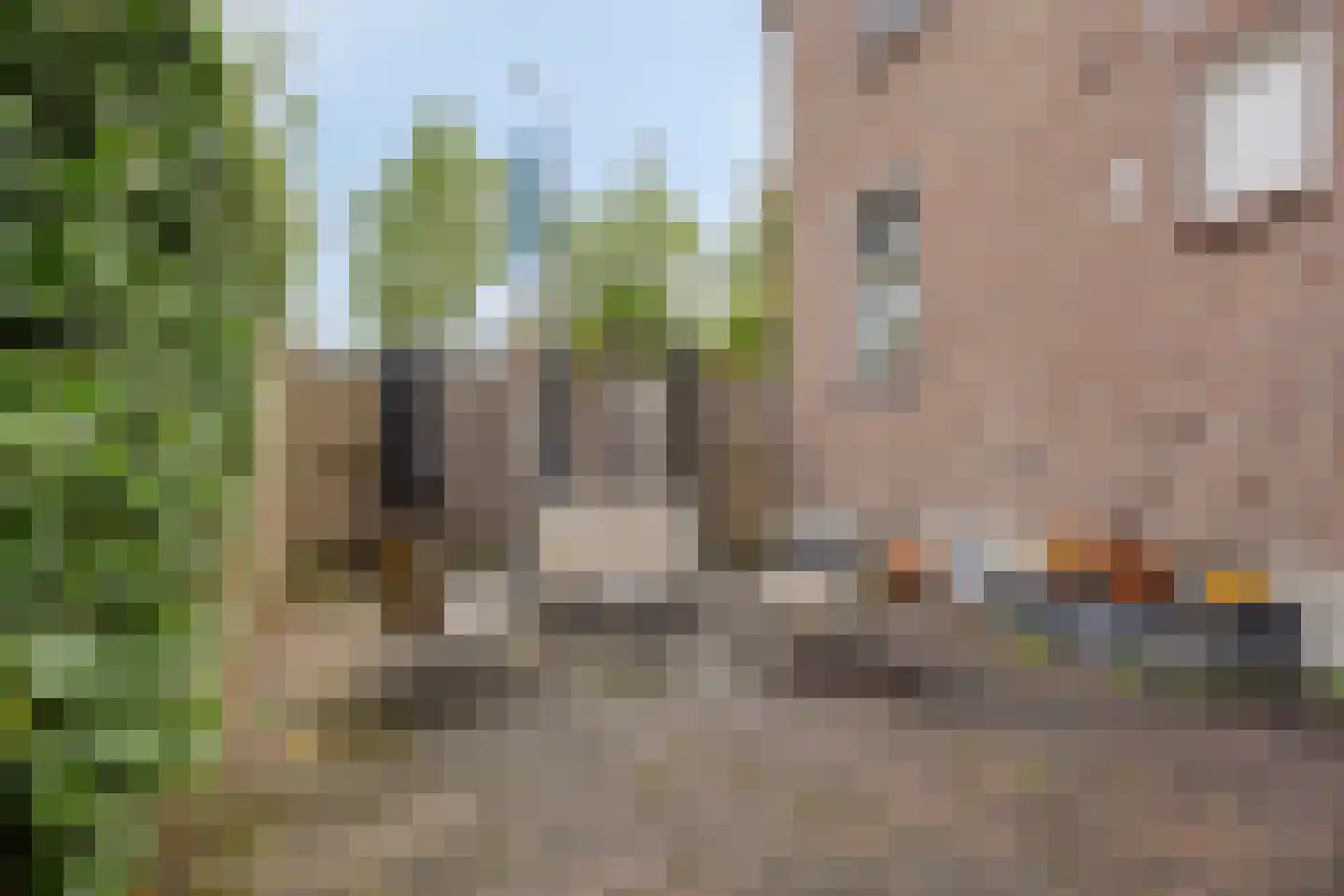 Burgemeester v.d. Wildenberglaan 11 De Rips thumbnail 33