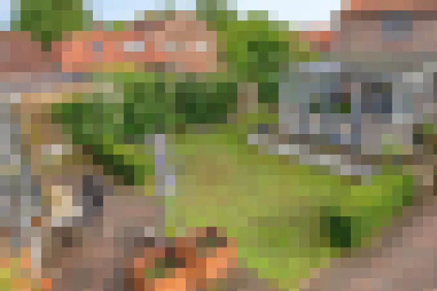 Burgemeester v.d. Wildenberglaan 11 De Rips thumbnail 34