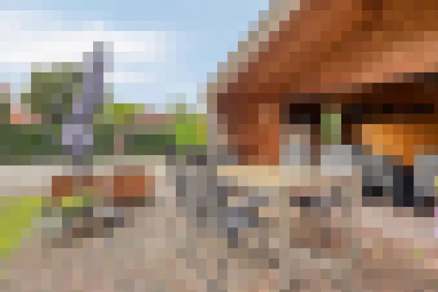 Burgemeester v.d. Wildenberglaan 11 De Rips thumbnail 36