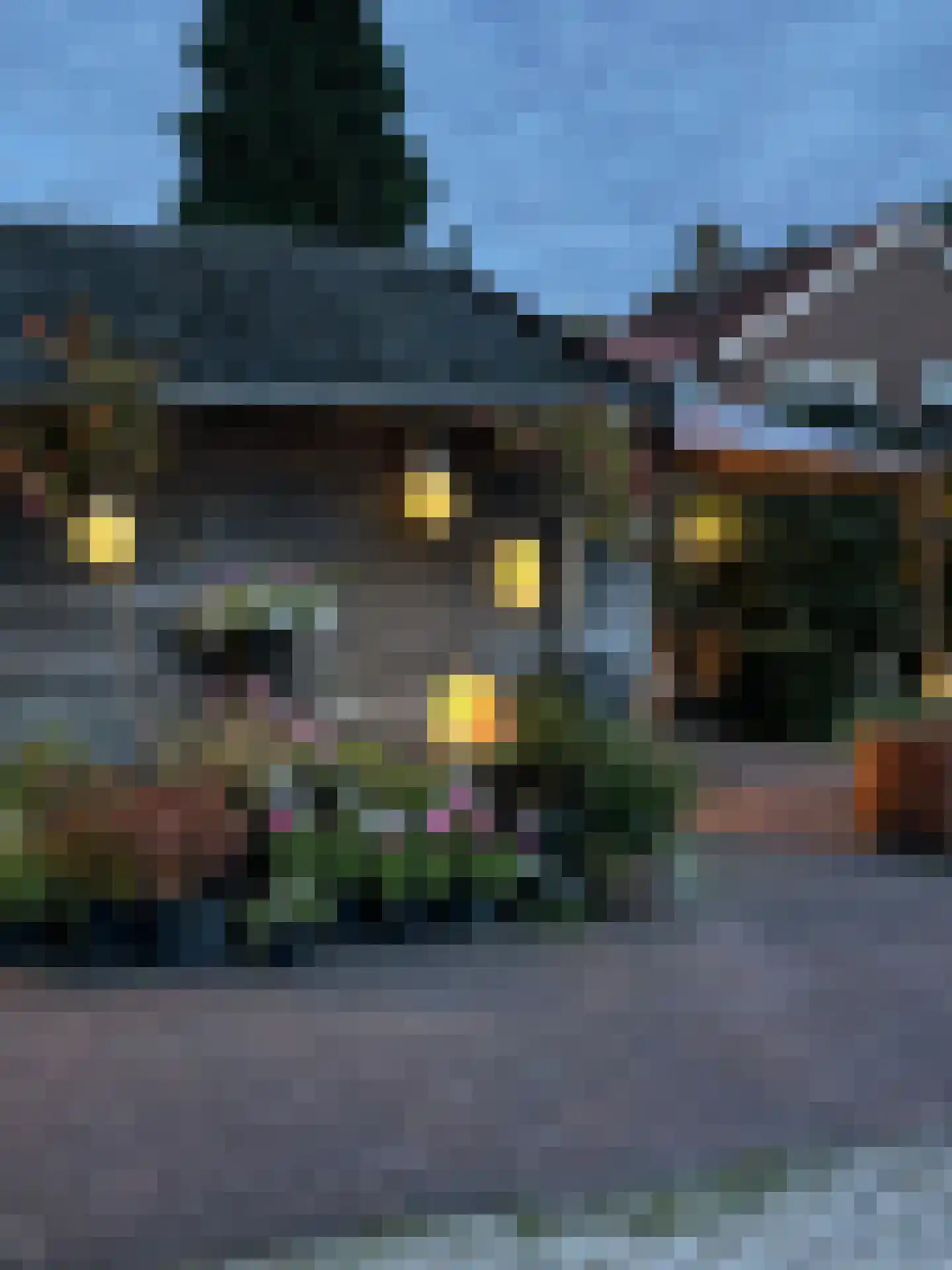 Burgemeester v.d. Wildenberglaan 11 De Rips thumbnail 40