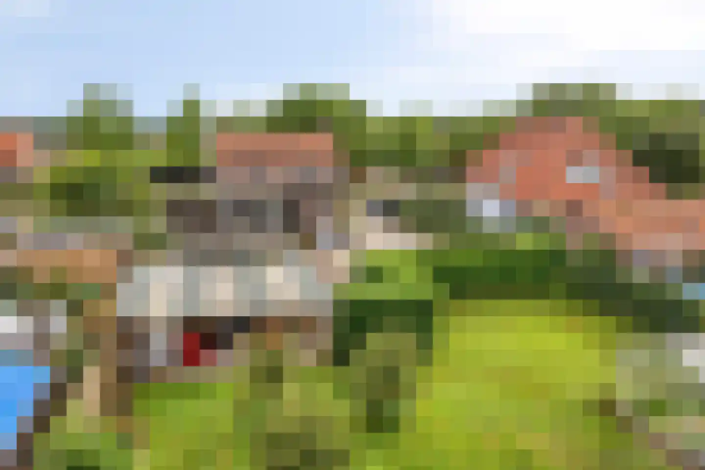 Burgemeester v.d. Wildenberglaan 11 De Rips thumbnail 42