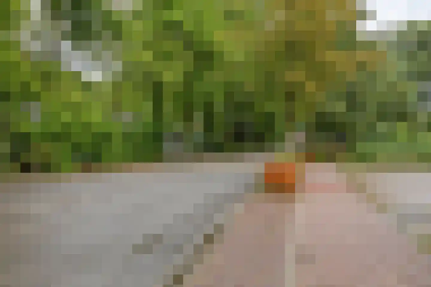 Burgemeester v.d. Wildenberglaan 11 De Rips thumbnail 48