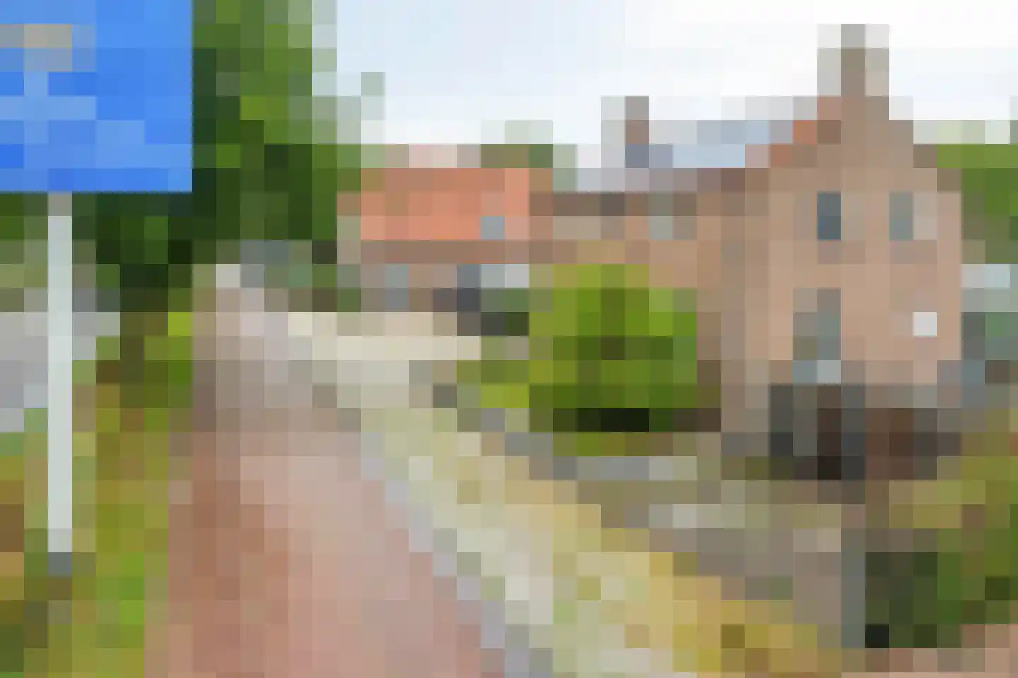 Burgemeester v.d. Wildenberglaan 11 De Rips thumbnail 52