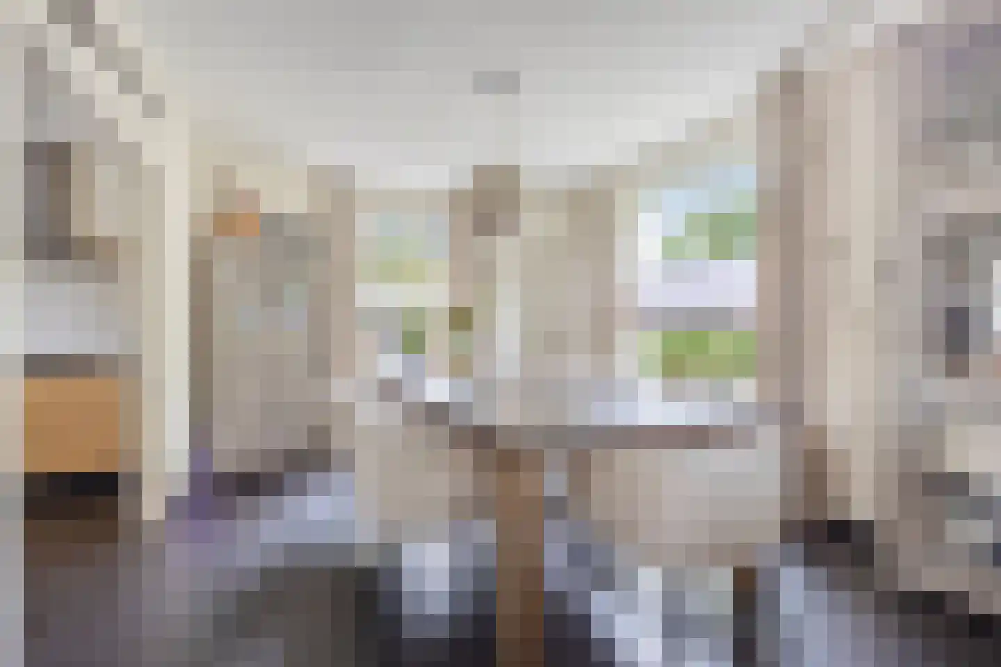 Burgemeester v.d. Wildenberglaan 11 De Rips thumbnail 6