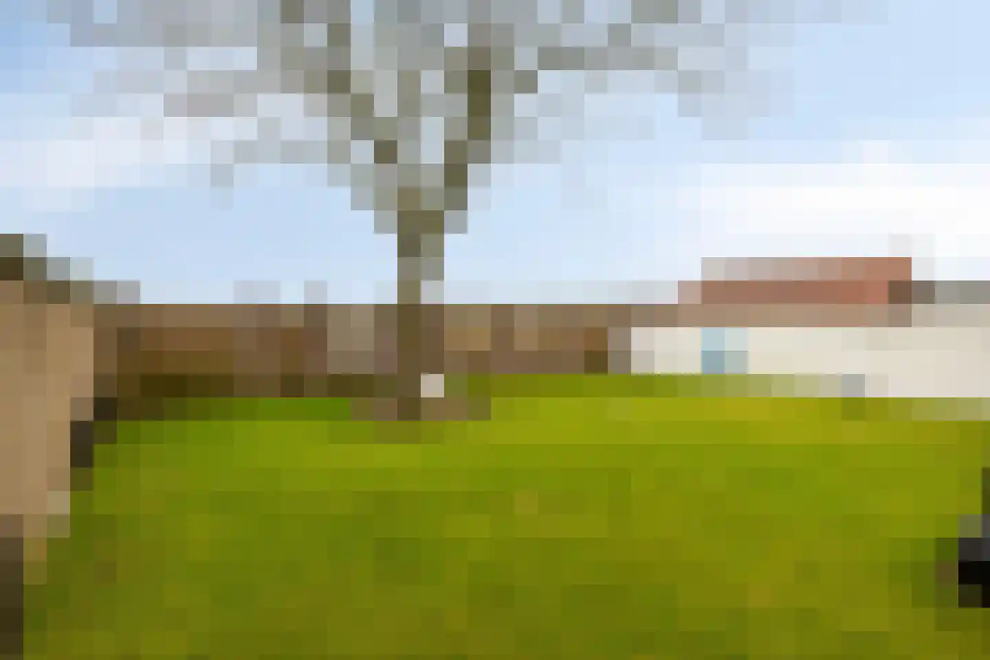 Burgemeester v.d. Wildenberglaan 34 De Rips thumbnail 39