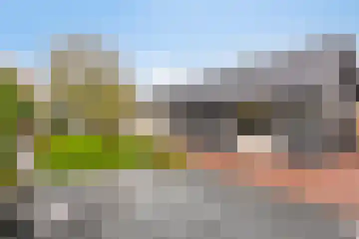 Burgemeester v.d. Wildenberglaan 35 De Rips thumbnail 31