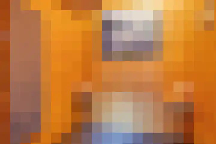 Burgemeester v.d. Wildenberglaan 35 De Rips thumbnail 33