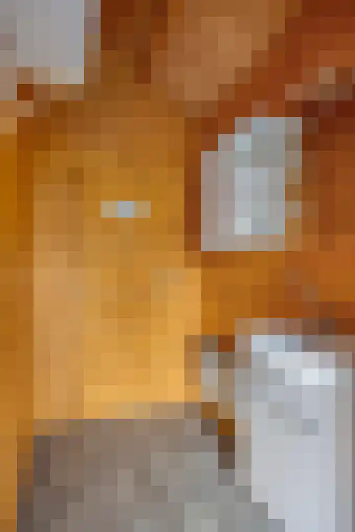 Burgemeester v.d. Wildenberglaan 35 De Rips thumbnail 34
