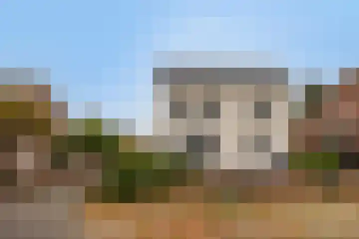 Burgemeester v.d. Wildenberglaan 35 De Rips thumbnail 8