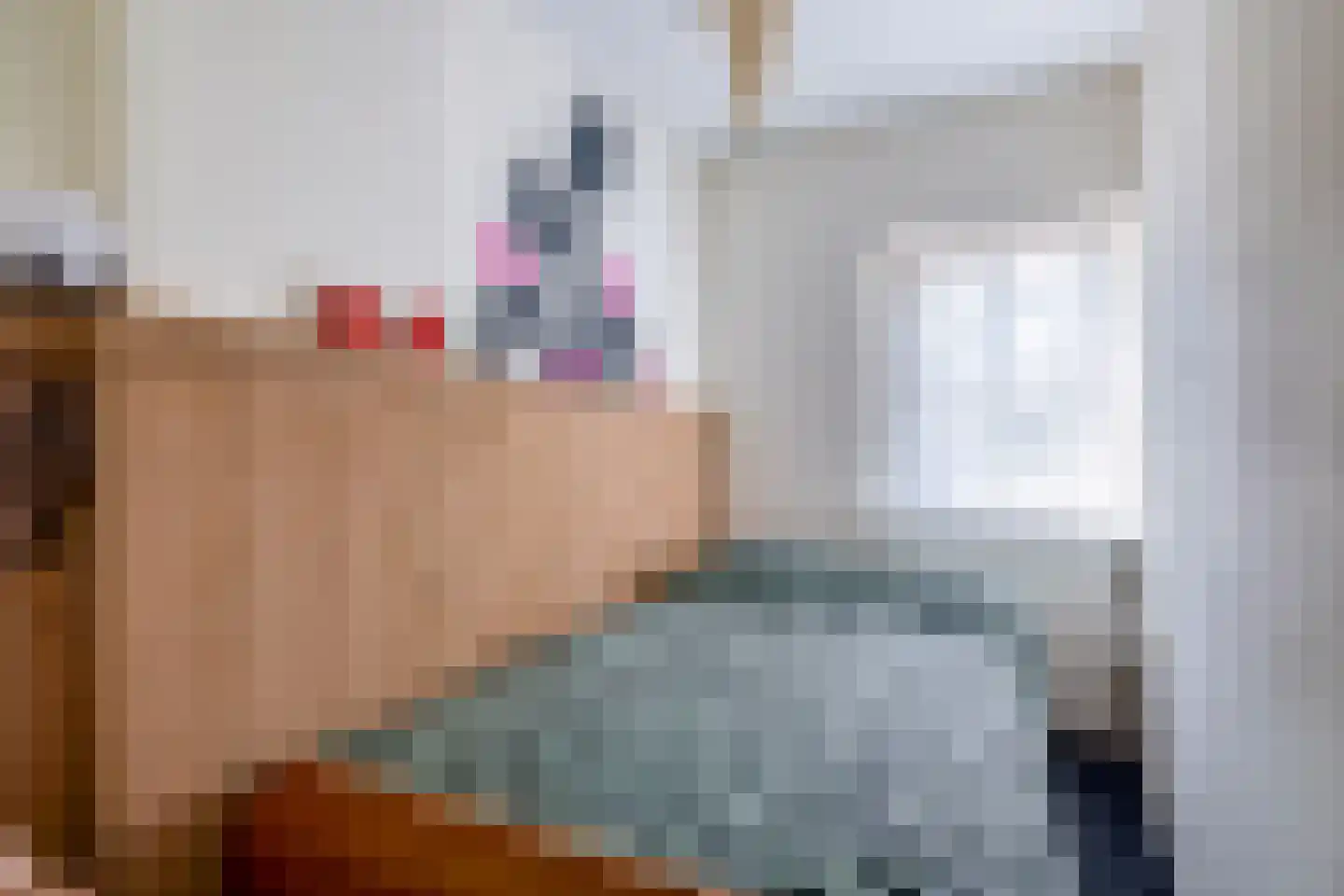 Burgemeester v.d. Wildenberglaan 7 De Rips thumbnail 33