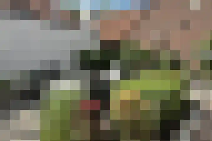 Burgemeester van Akenstr 5 Zevenbergen thumbnail 54