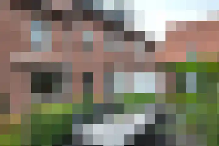 Burgemeester van Akenstr 5 Zevenbergen thumbnail 56