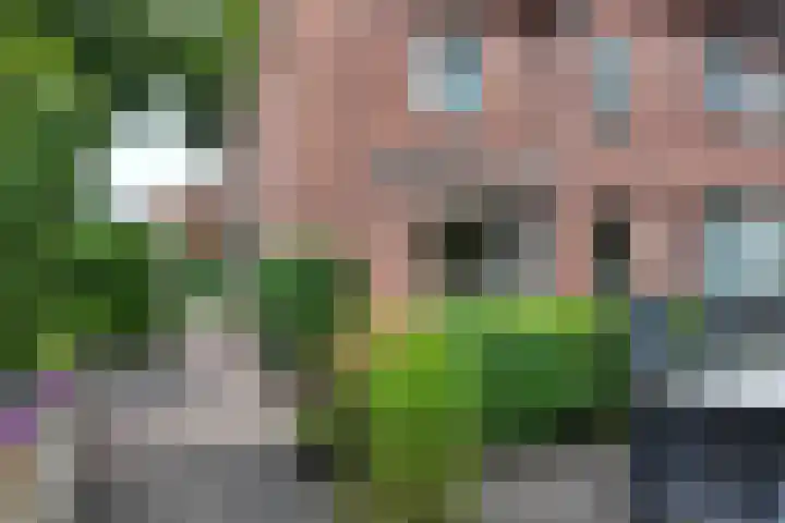 Burgemeester van Akenstr 5 Zevenbergen thumbnail 57