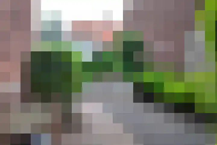 Burgemeester van Akenstr 5 Zevenbergen thumbnail 6