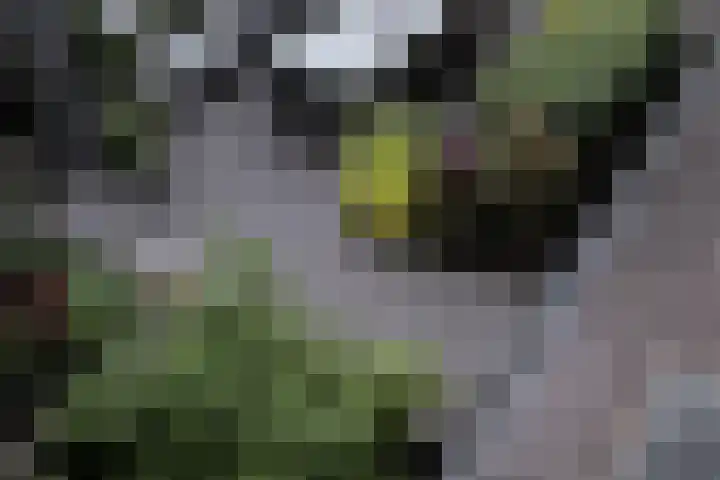 Burgemeester van Akenstr 5 Zevenbergen thumbnail 64