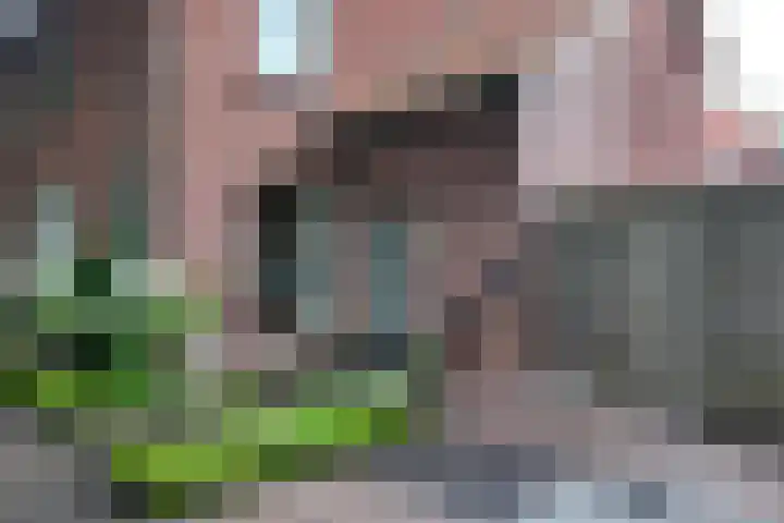 Burgemeester van Akenstr 5 Zevenbergen thumbnail 65