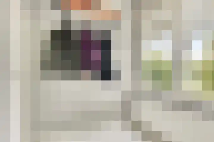 Burgemeester Van Altenastraat 6 Tiel thumbnail 10