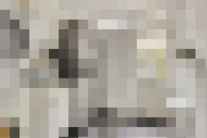 Burgemeester Van Altenastraat 6 Tiel thumbnail 21
