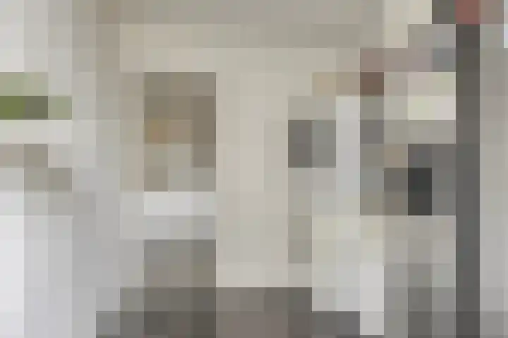 Burgemeester Van Altenastraat 6 Tiel thumbnail 22